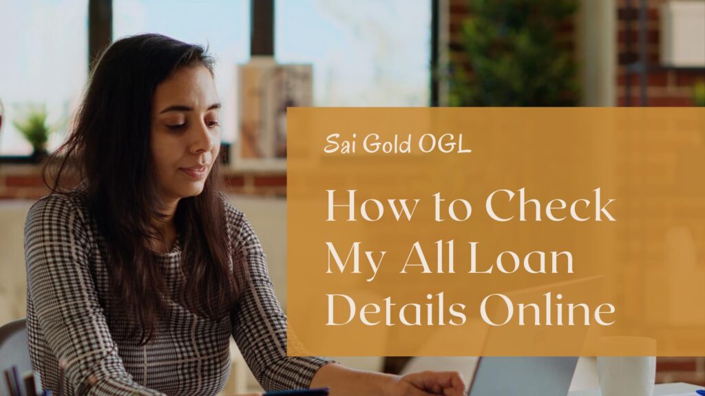 How to Check My All Loan Details